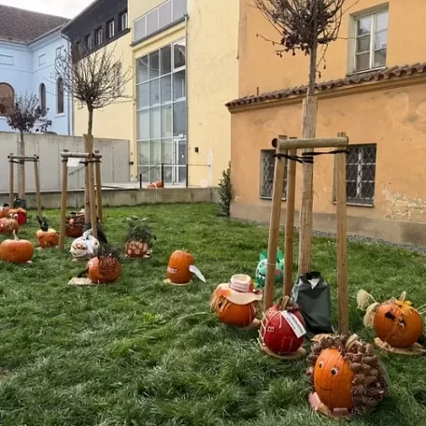 Obrázek č.1